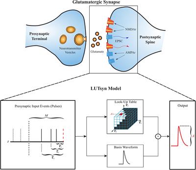 Bridging Hierarchies in Multi-Scale Models of Neural Systems: Look-Up Tables Enable Computationally Efficient Simulations of Non-linear Synaptic Dynamics